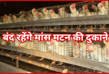 30 मार्च को रायपुर में बंद रहेंगे मांस मटन की दुकाने