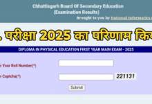 छत्तीसगढ़ माध्यमिक शिक्षा मंडल ने D.P.Ed. परीक्षा 2025 का परिणाम किया घोषित