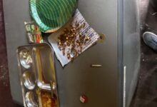 Raipur News : नगर निगम ने साहू नाश्ता सेंटर को किया सीलबंद