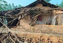 CG में जंगली हाथी का खूनी उत्पात, 3 वर्षीय मासूम समेत तीन लोगों की दर्दनाक मौत