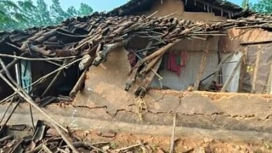 CG में जंगली हाथी का खूनी उत्पात, 3 वर्षीय मासूम समेत तीन लोगों की दर्दनाक मौत