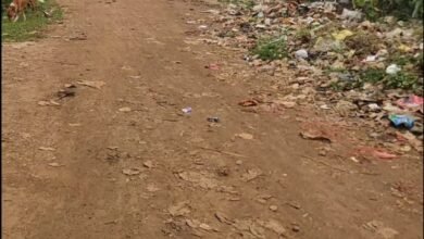 अहिवारा नगर पालिका के वार्ड 15 में कचरे से परेशान वार्डवासी