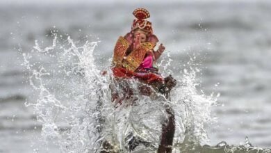 Raipur News : गत वर्ष की तरह महादेव घाट के विसर्जन कुंड में श्रीगणेश प्रतिमाओं का विसर्जन किया जायेगा
