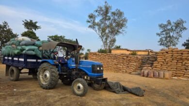 CG News : अवैध धान विक्रय के संगठित गिरोह का मामला उजागर