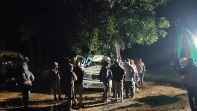 CG Accident : भीषण सड़क हादसा, पेड़ से टकराई बोलेरो, एक युवक की मौत