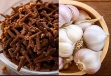 Health Tips : 50 पार है तो सर्दी के मौसम में दो लौंग और दो लहसुन अवश्य चबाएं डॉ अर्चिता महाजन