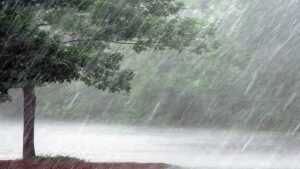 राज्य में मानसून मेहरबान: अधिकांश जिलों में सामान्य से अधिक वर्षा, नारायणपुर, महासमुंद और सारंगढ़-बिलाईगढ़ सबसे आगे, रायपुर सहित मैदानी जिलों में भी अच्छी बारिश